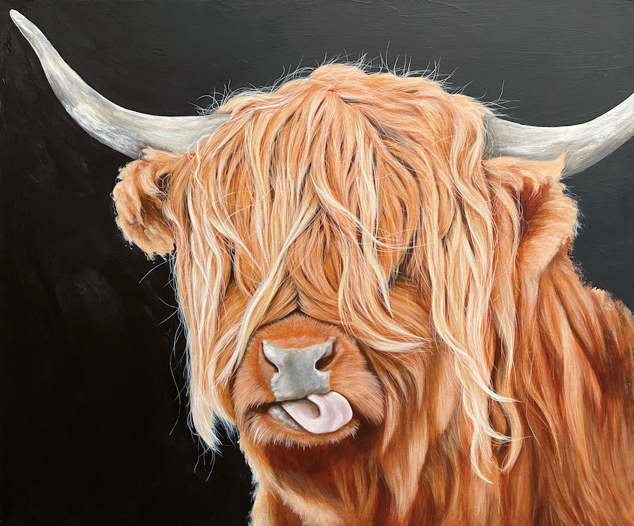 Highland-cow-farm-animal