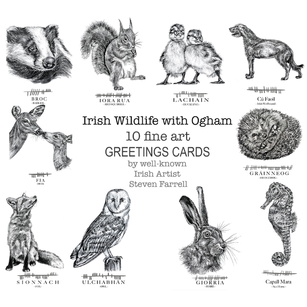 Irish-Wildlife-greetings-cards-animals-Ogham-language