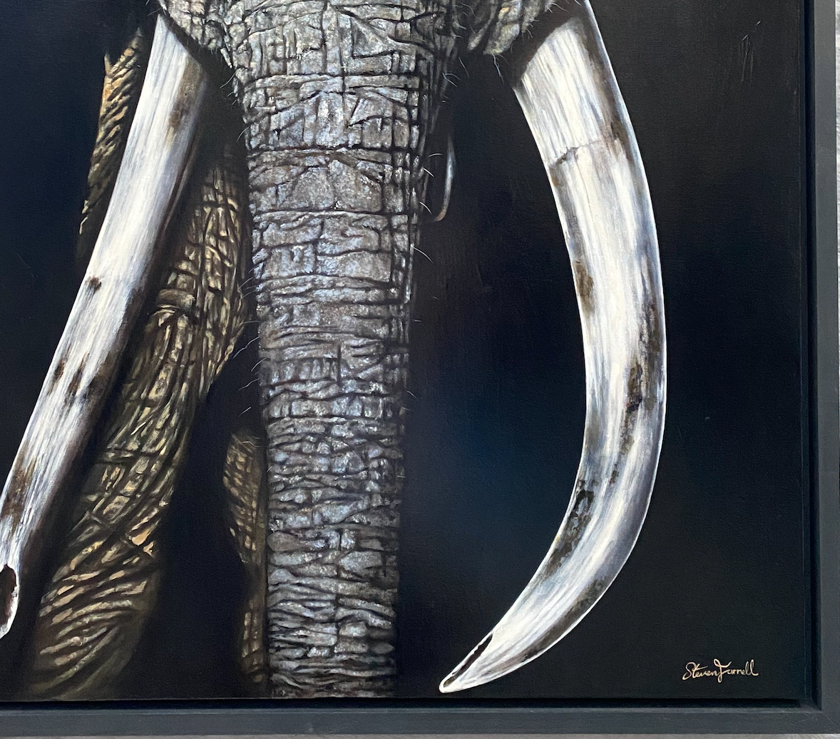 Irish-art-African-Elephant-wildlife-artwork