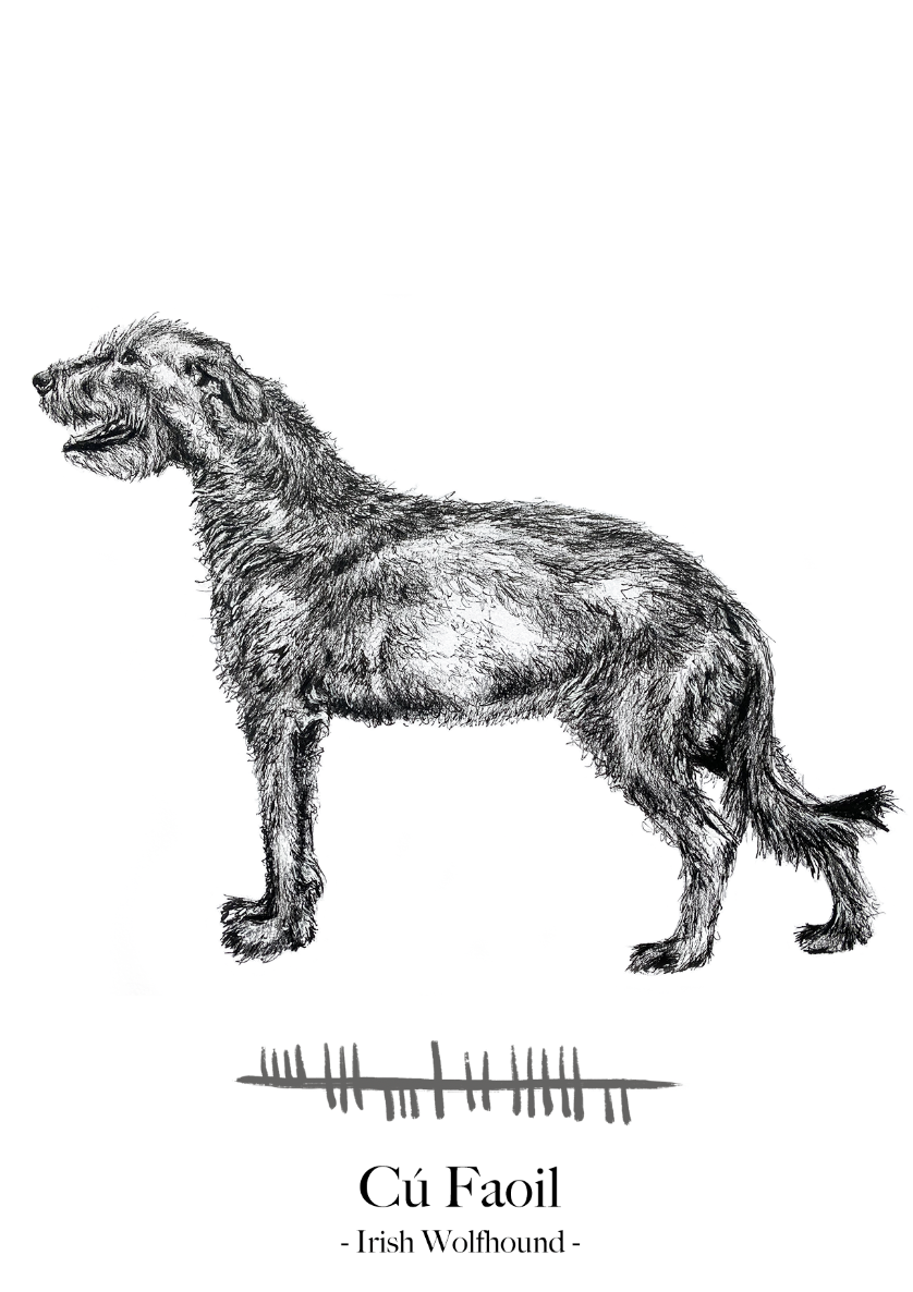 Irish-dog-art-wolfhound-Celtic-mythology-Steven-Farrell
