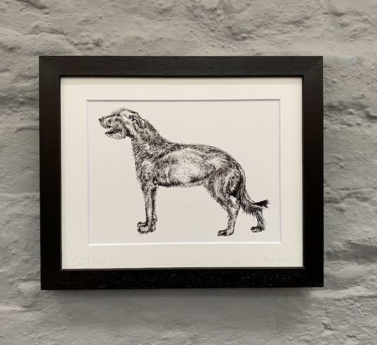 Irish-wolfhound-art-Irish-wildlife