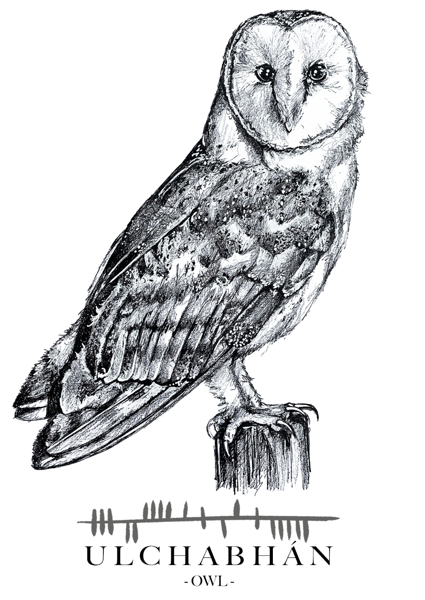 Ogham-gift-card-Owl-Ulchabhan