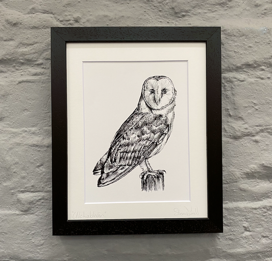 Owl-artwork-Irish