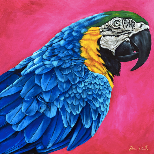 Fine Art Painting - Parrot - Animal