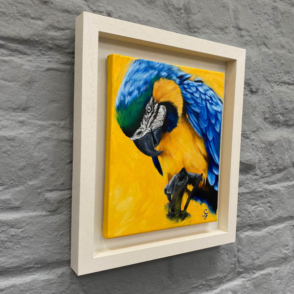 Parrot-painting-wildlife