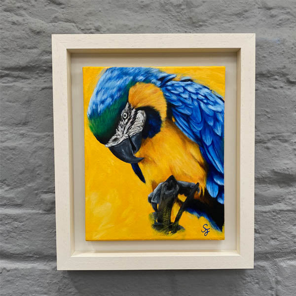 Parrot-painting-wildlife
