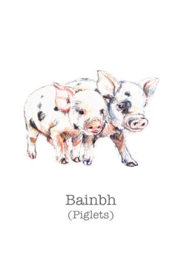 Piglet-greetings-card-banibh-irish-language