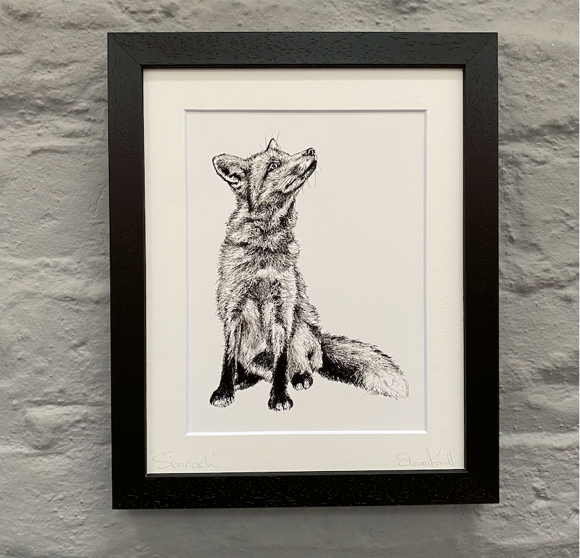 Sionnach-fox-artwork