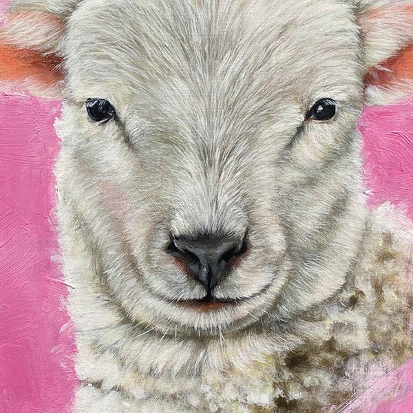 Spring-Lamb-artwork-Ireland