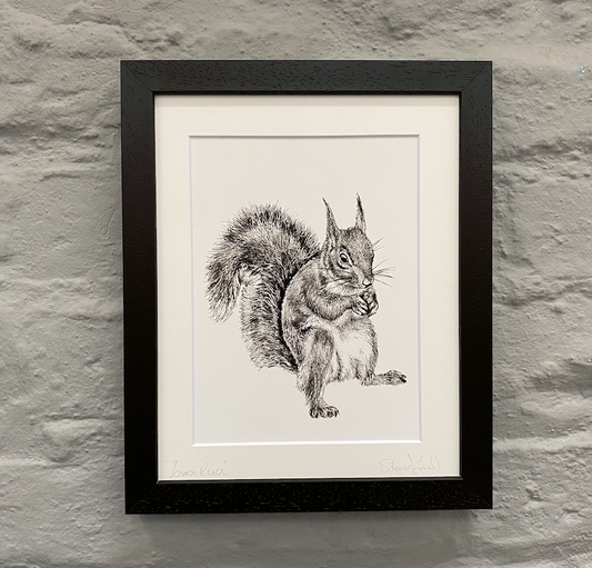 Squirrel-wildlife-art