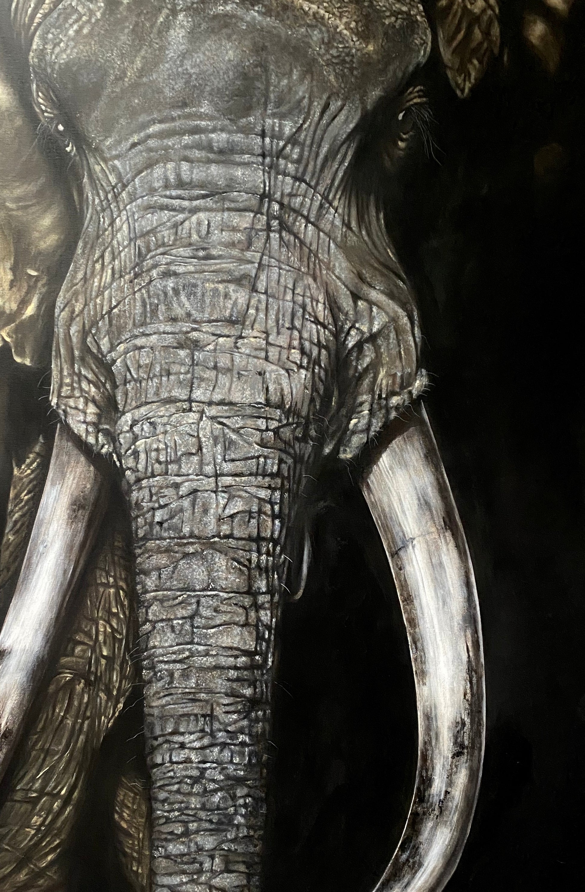 Steven-Farrell-fine-art-painting-Mannion-Elephant-artwork-Dublin-Zoo_ab6a9a84-3bb8-4901-b49d-734ec7405103