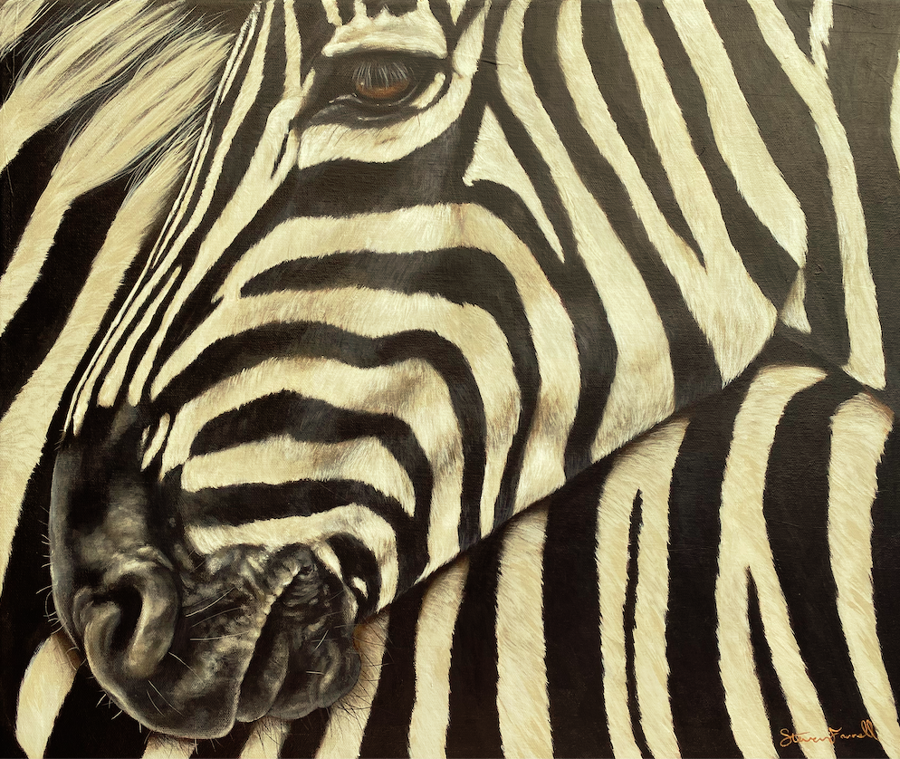 Zebras-painting-wildlife