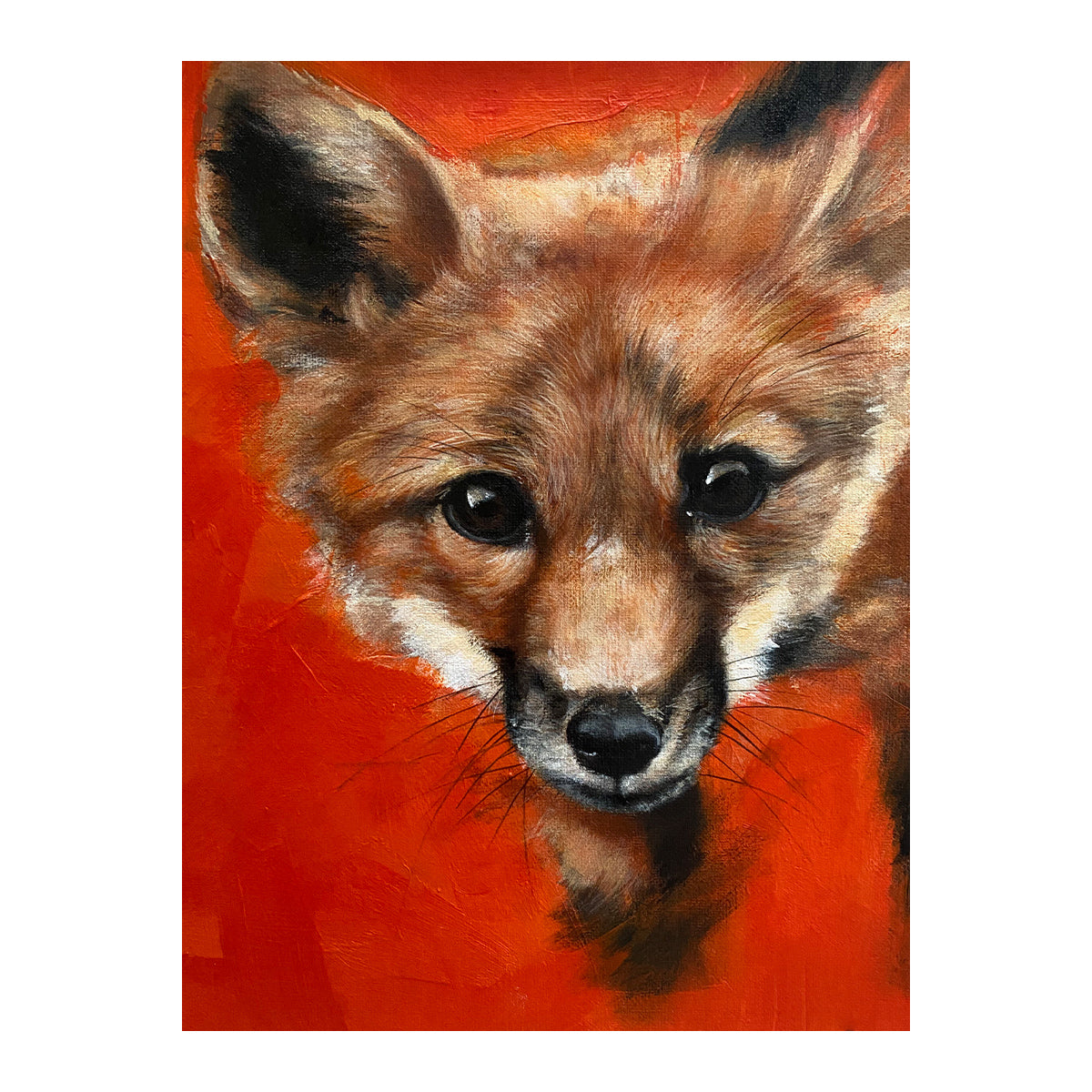 Fox-bold-framed-print-white