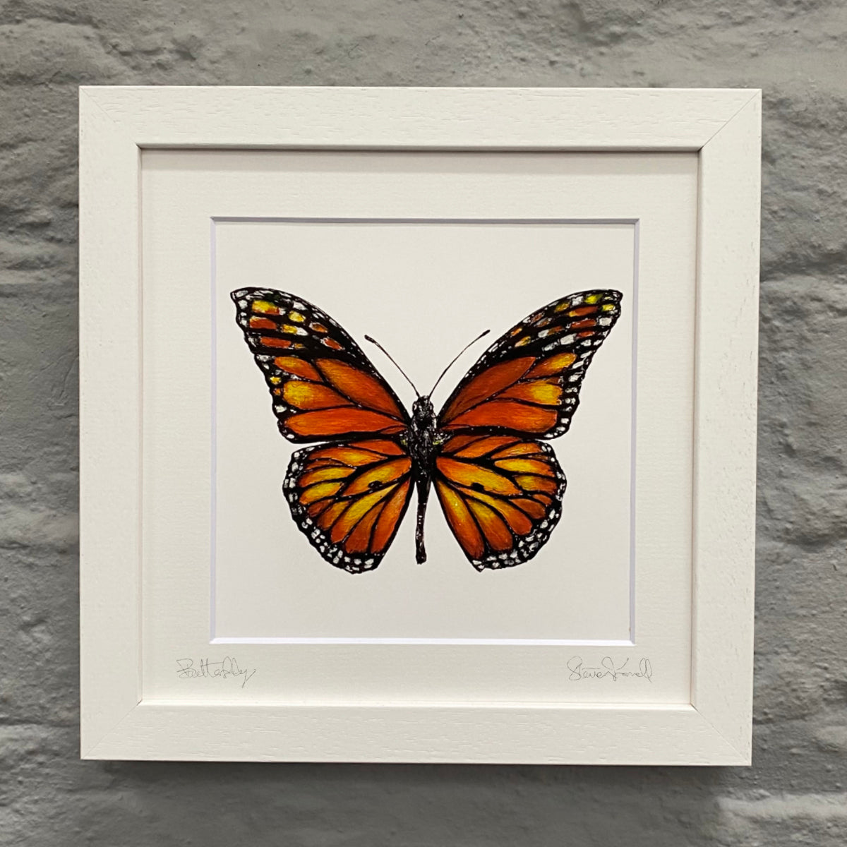 Butterfly-fine-art-painting-Monarch-Butterfly-black-front-framed