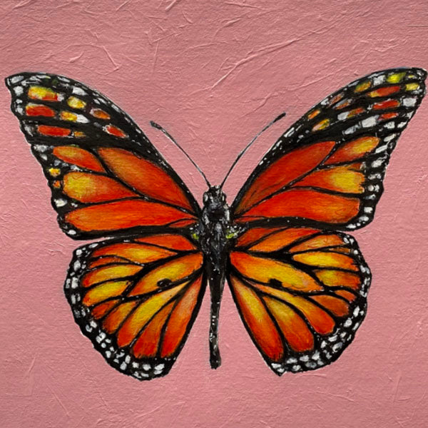 Butterfly-fine-art-painting-Monarch-Butterfly-framed