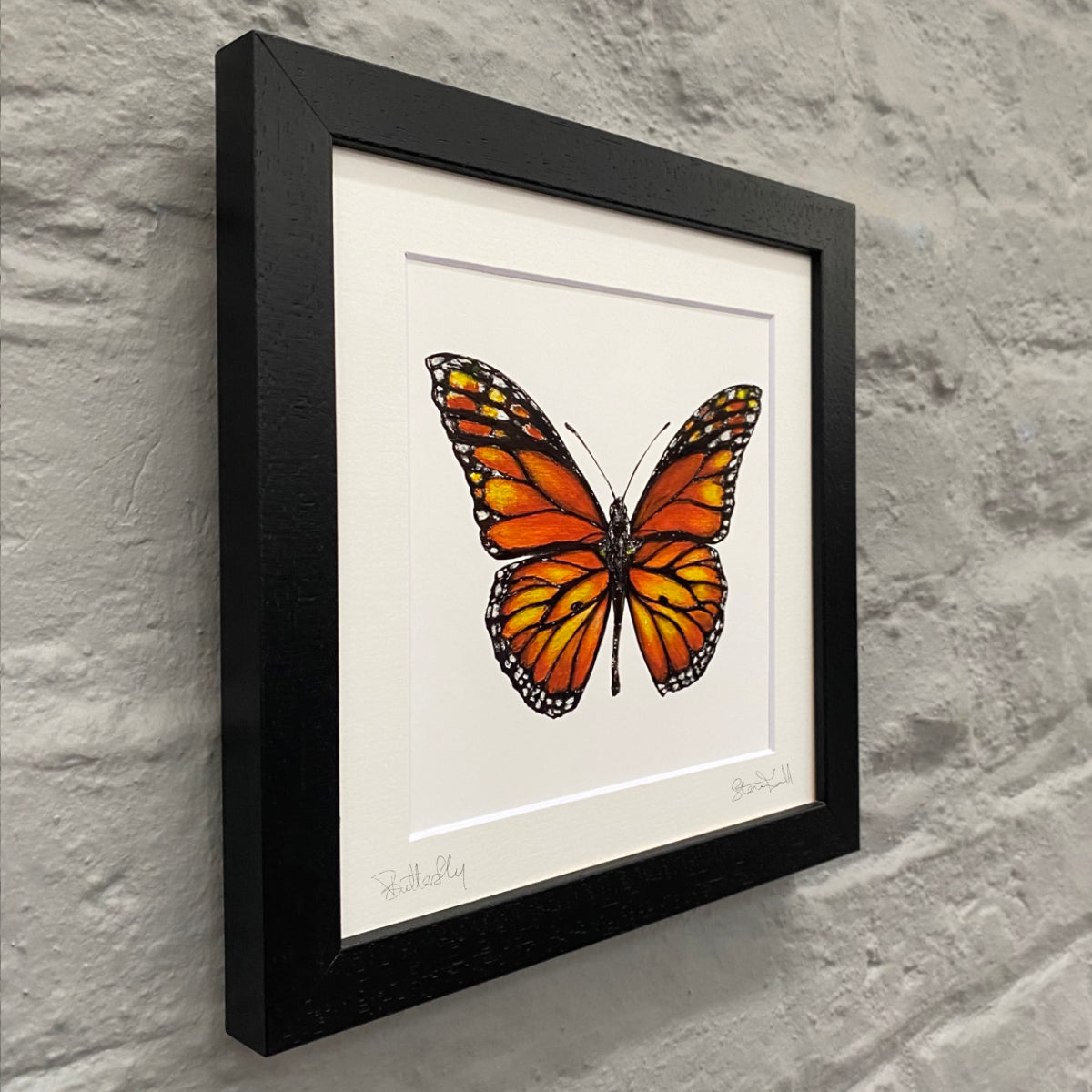 Butterfly-fine-art-painting-Monarch-Butterfly-black-front-framed