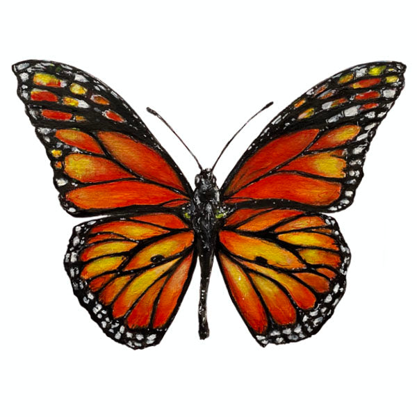Butterfly-fine-art-painting-Monarch-Butterfly-framed