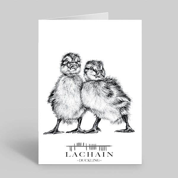 Duckling-Greetings-Card-Wild-Ducklings-Irish-Language-Translation-Lachain