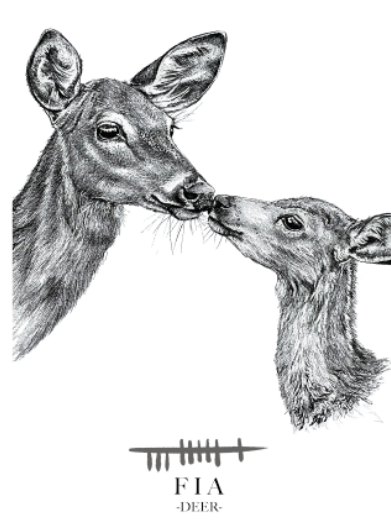 Deer-Greetings-Card-Fawn-and-Doe-Irish-Language-Gift-Card-Fia
