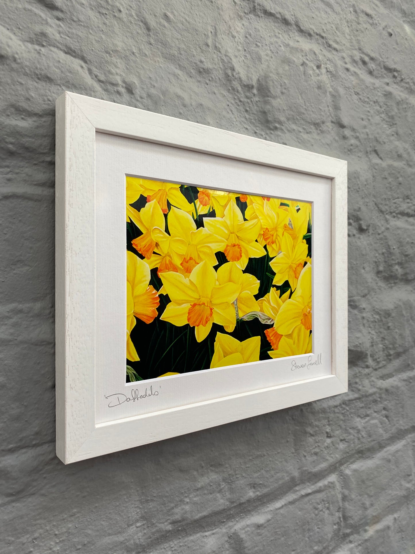 Field-of-daffodils-print