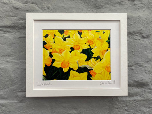 Field-of-daffodils-print