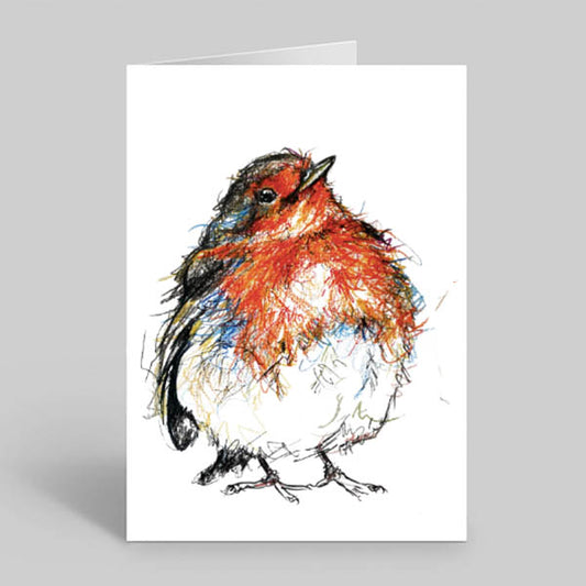 Garden-bird-Irish-Robin-Greetings-card-gift