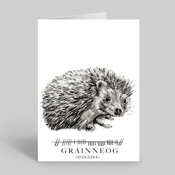 Hedgehog-Greetings-Card-Gráinneog-Irish-Language-Gift-Card-by-Steven-Farrell.jpg