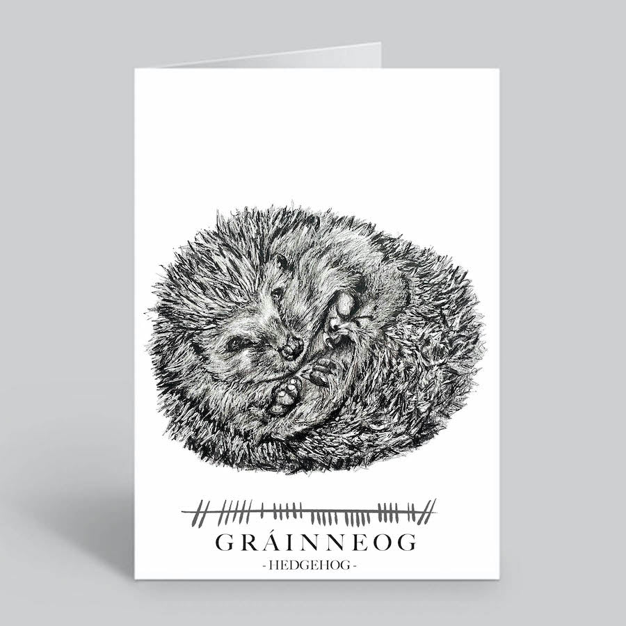Hedgehog-Greetings-Card-Grainneog-Irish-Language-Gift-Card
