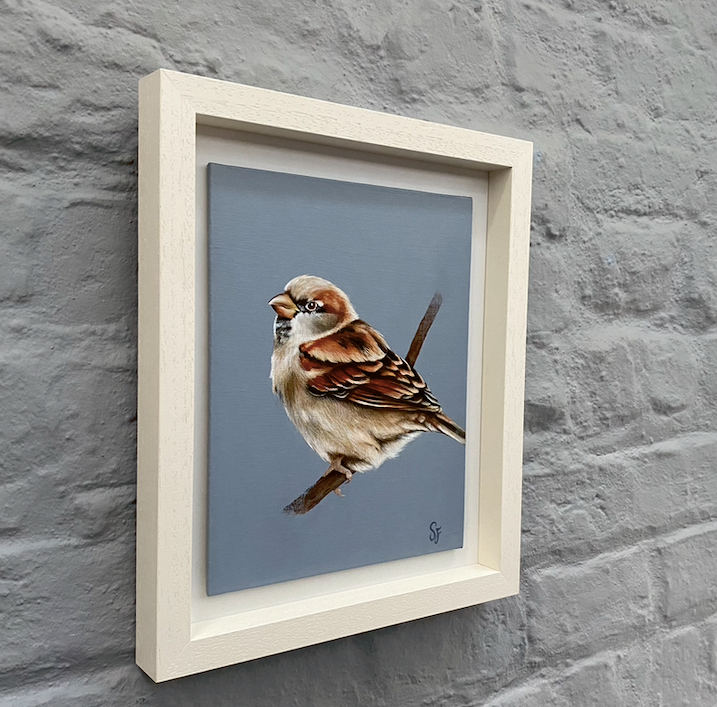 House Sparrow - brown Sparrow painting - Fine Art Painting