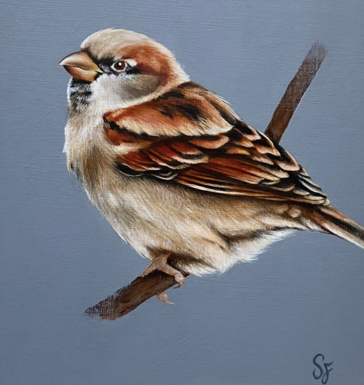 House Sparrow - brown Sparrow painting - Fine Art Painting