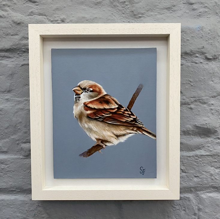 House Sparrow - brown Sparrow painting - Fine Art Painting