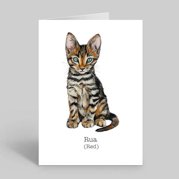 Kitten-Greetings-Card-Irish-Language-Wildlife-art