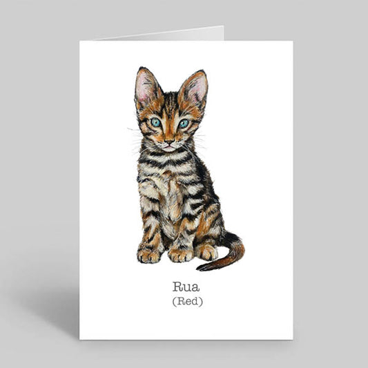 Kitten-Greetings-Card-Irish-Language-Wildlife-art