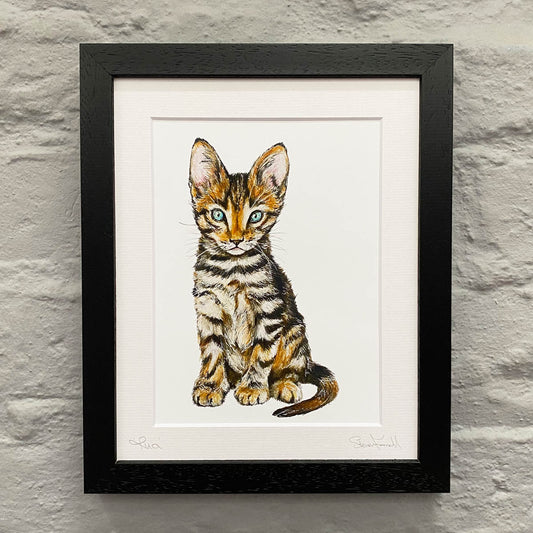 Kitten-gift-print-framed-black-frame