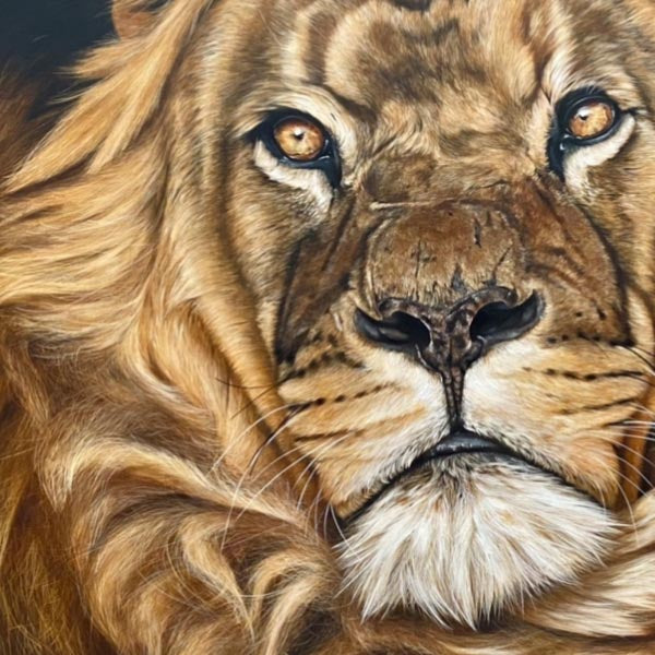 Lion-painting-Steven-Farrell-acrylic-safari
