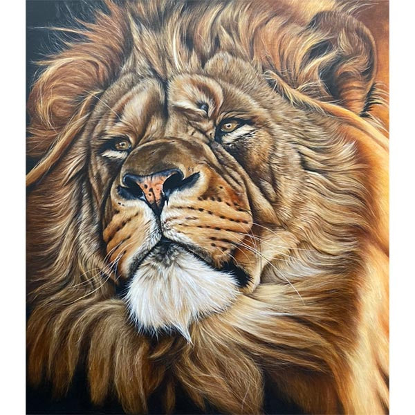 Magnificent-Lion-painting-wildlife-artist-Steven-Farrell-acrylic-safari