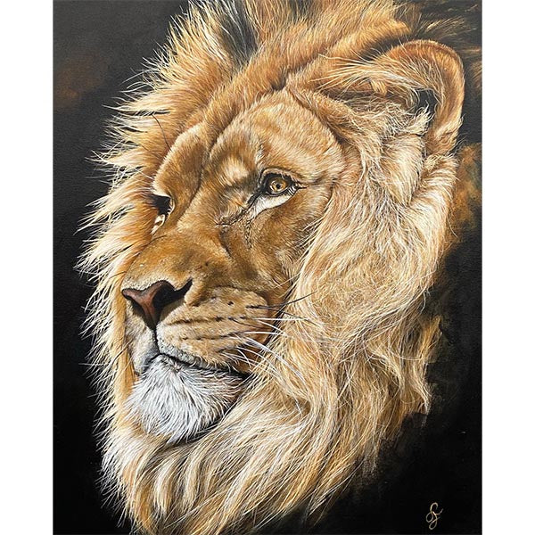 Lion-painting-wildlife-Irish-artist-Steven-Farrell-acrylic-safari
