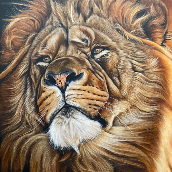 Magnificent-Lion-painting-wildlife-artist-Steven-Farrell-acrylic-safari