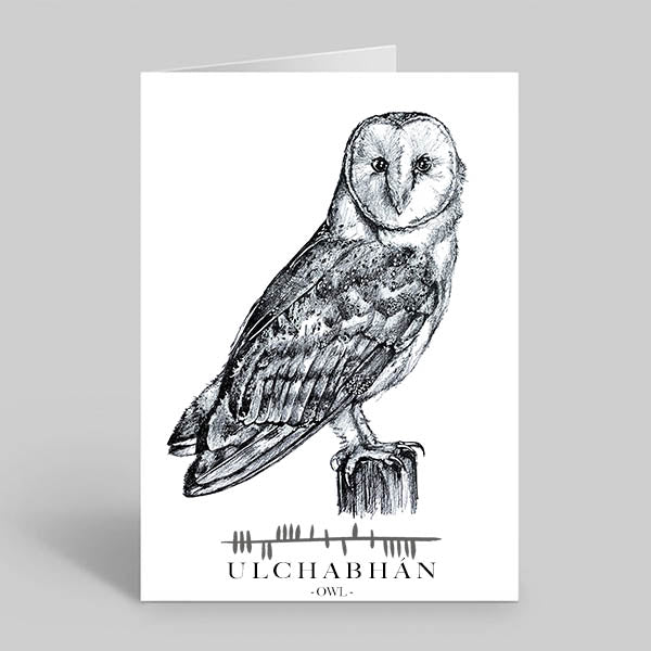      Owl-greetings-card-irish-language-ulchabhan