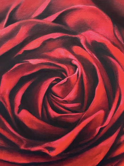 Fine Art Painting - Rose - Flower