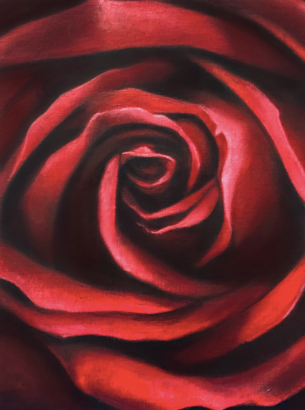 Fine Art Painting - Rose - Flower