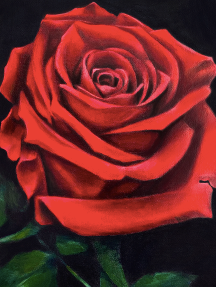 Fine Art Print - Midnight Rose - Romance Gift