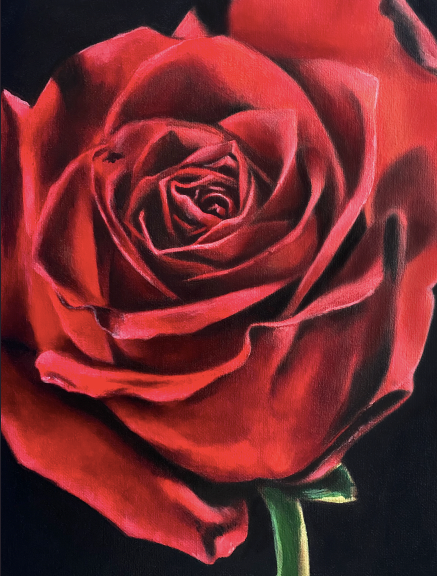 Fine Art Painting - Rose - Flower