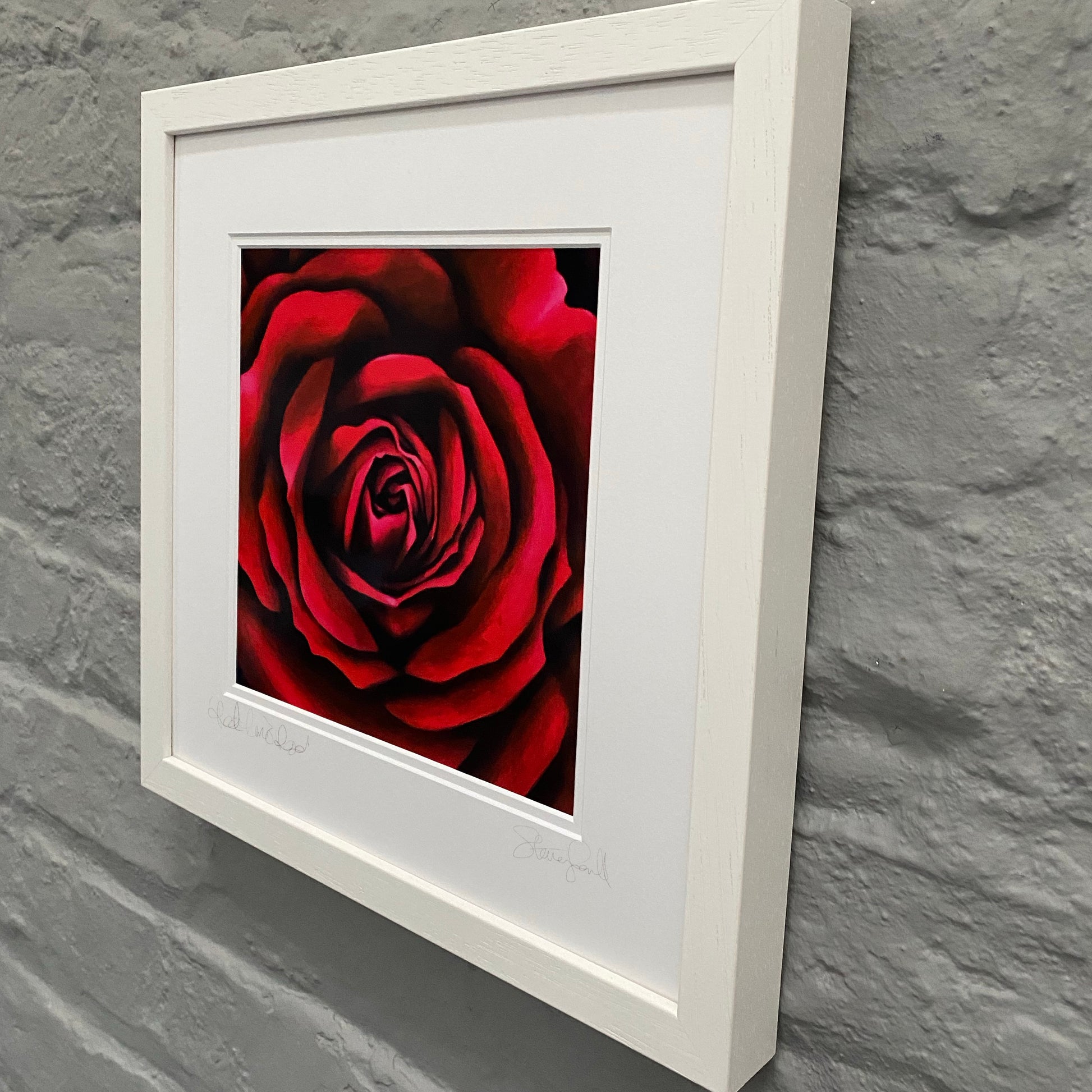 Rose-Painting-Red-Rose-Gift-Valentines-Day-Romance-Engagement-Gift