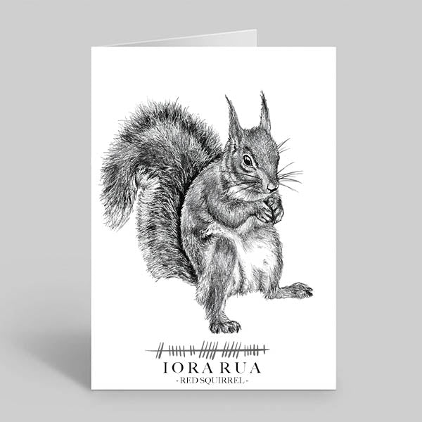 Red-squirrel-greetings-card-irish-language-ioa-rua