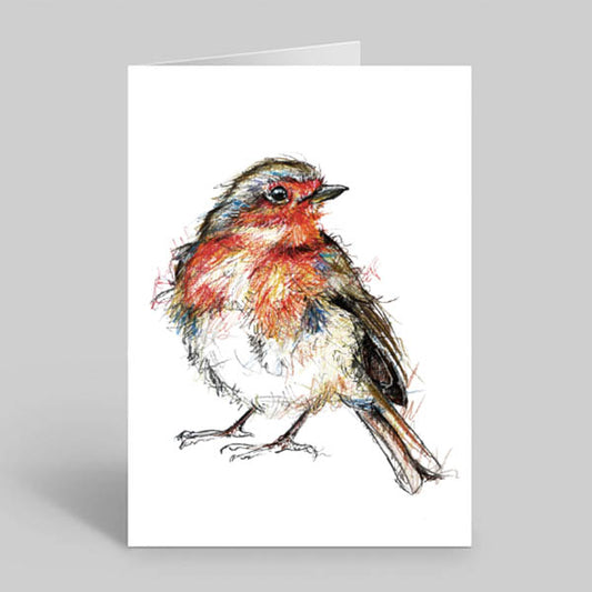 Robin-redbreast-greetings-card-Irish-wildlife-art