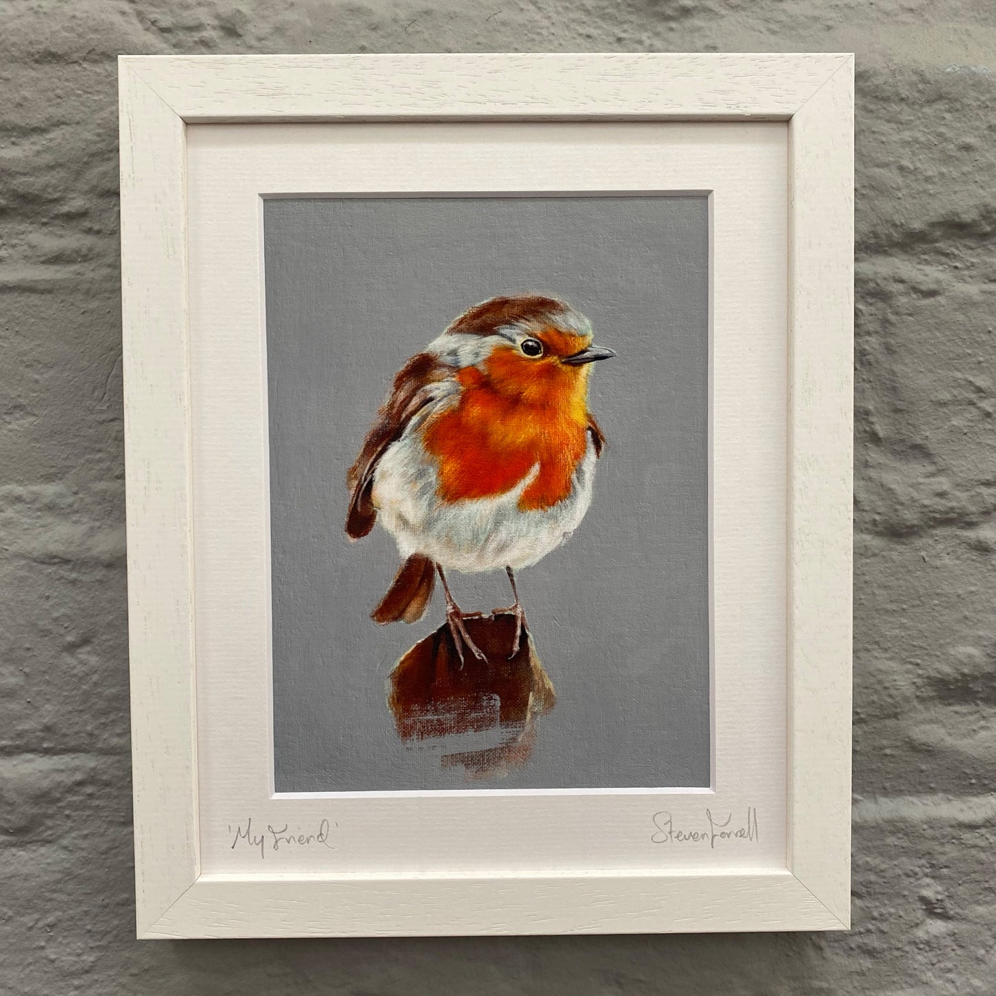 Fine Art Print - Robin Redbreast - Wildlife