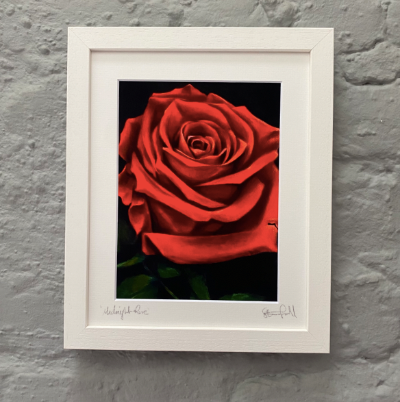 Fine Art Print - Midnight Rose - Romance Gift