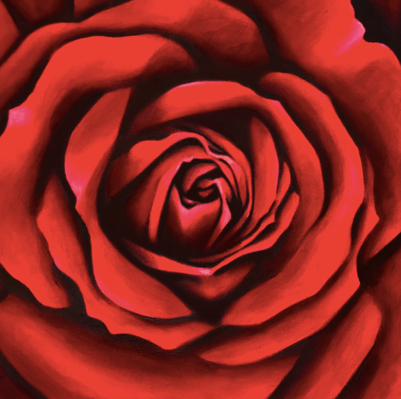 Fine Art Print - Red Paris Rose - Romance Gift