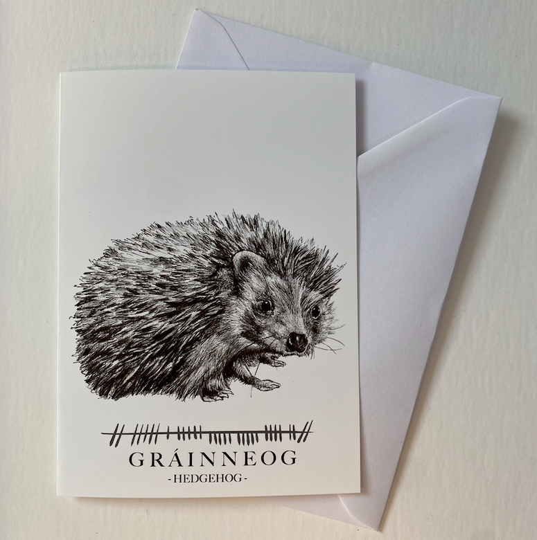 Greetings card hedgehog